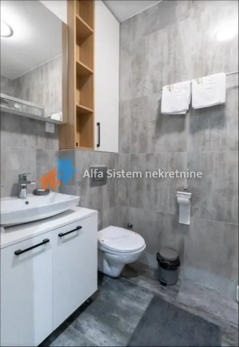 Rent, two bedroom apartment, 43m², Južni Bulevar, Vračar Sve Podlokacije
