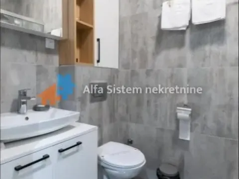 Rent, two bedroom apartment, 43m², Južni Bulevar, Vračar Sve Podlokacije - image 24