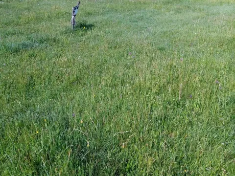 Prodaja, plac, 310m², Centar, Cetinje - image 1