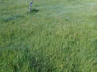 Prodaja, plac, 310m², Centar, Cetinje