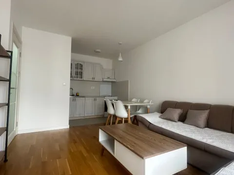 Rent, one bedroom apartment, 41m², Zabjelo, Podgorica - image 7