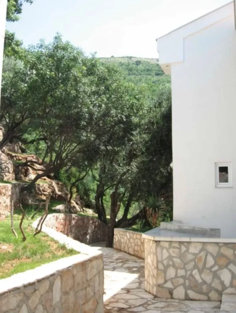 Pogled na dvorište sa kamenom stazom i zelenilom pored kućnog zida.