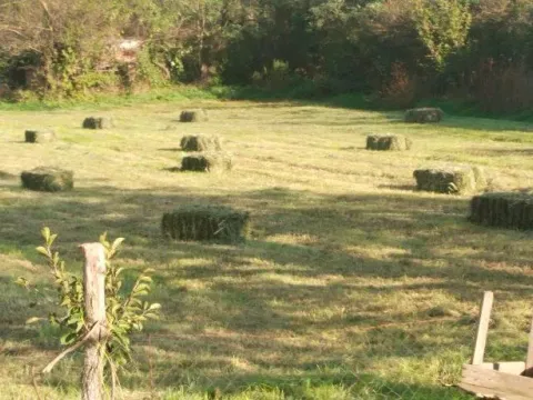 Prodaja, plac, 2400m², Spuž, Danilovgrad - image 2