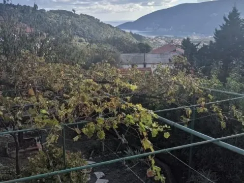 Prodaja, kuća, 101m², Mojdež, Herceg Novi - image 8
