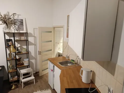 Rent, one bedroom apartment, 31m², Stari Grad, Beograd - image 7