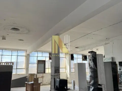 Rent, office space, 681m², Salajka, Novi Sad Sve Podlokacije - image 4