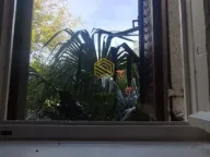 Rent, one bedroom apartment, 50m², Stari Aerodrom, Podgorica - image 4