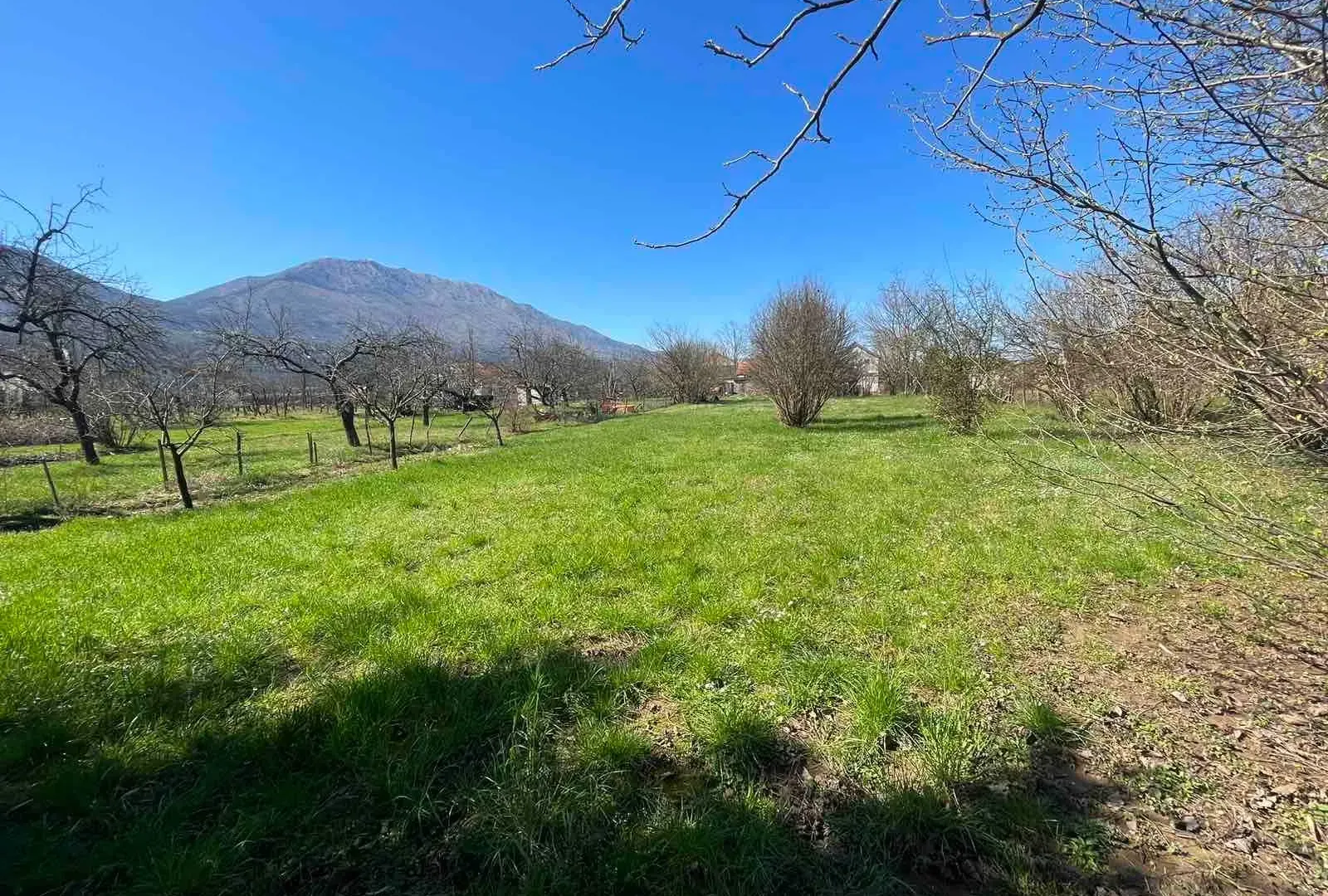 Prodaja, plac, 5000m², Danilovgrad, Crna Gora