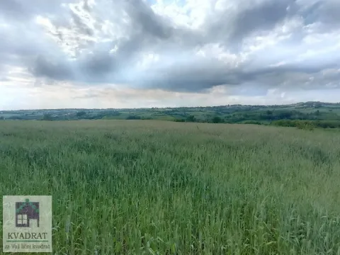Prodaja, plac, 15000m², Jasenak, Obrenovac - image 5