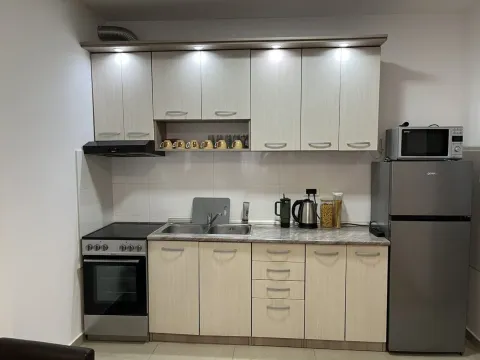 Izdavanje, jednosoban stan, 43m², Sajmište, Novi Sad - image 4