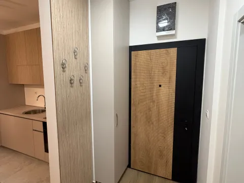 Sale, one bedroom apartment, 37m², Tološi, Podgorica - image 9