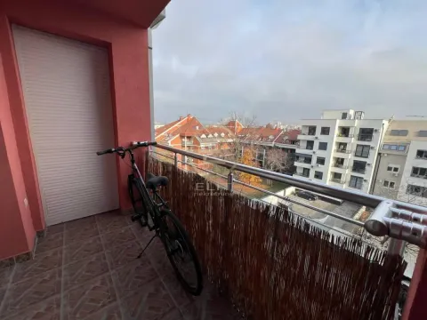 Prodaja, dvosoban stan, 48m², Telep, Novi Sad Sve Podlokacije - image 3