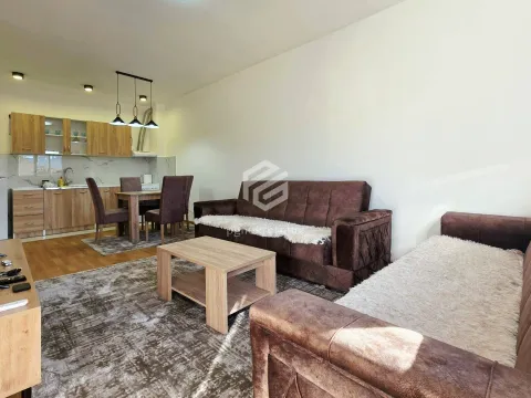 Izdavanje, jednosoban stan, 48m², Zabjelo, Podgorica - image 4