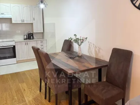 Rent, one bedroom apartment, 50m², Central Point, Podgorica - image 5