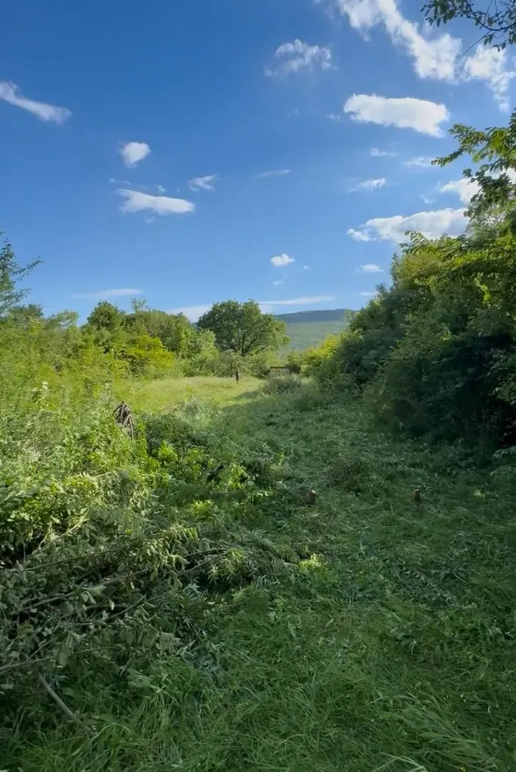 Prodaja, plac, 1322m², Mareza, Podgorica