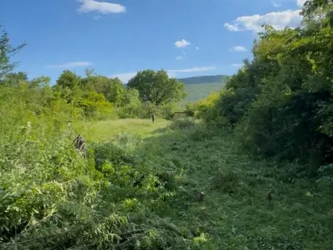 Zemljište in Mareza