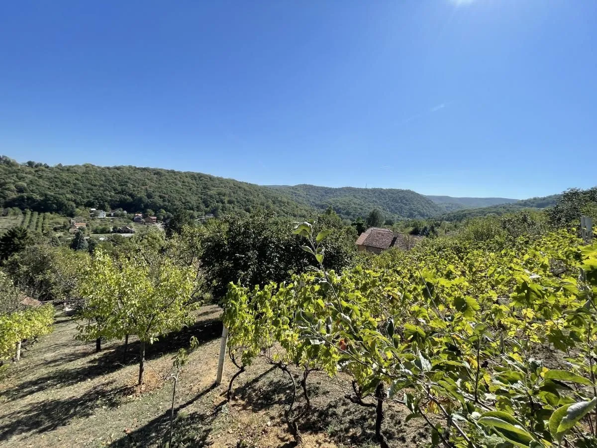 Prodaja, kuća, 54m², Paragovo, Petrovaradin