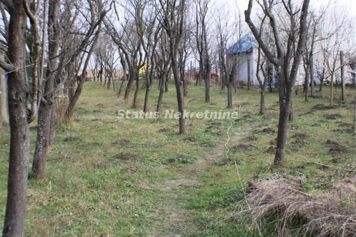 Prodaja, plac, 1000m², Zrenjanin, Srbija