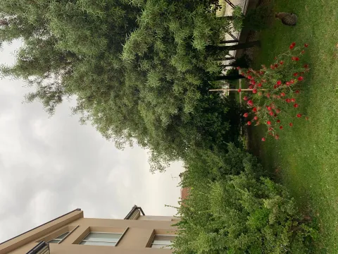 Prodaja, kuća, 250m², Donja Gorica, Podgorica - image 2