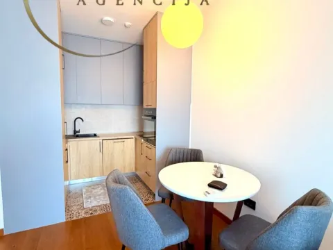 Rent, one bedroom apartment, 48m², Ljubović, Podgorica - image 2