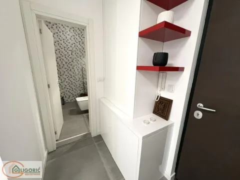 Izdavanje, poslovni prostor, 60m², Južni Bulevar, Vračar Sve Podlokacije - image 5