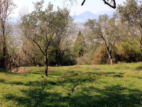 Prodaja, plac, 9409m², Bar, Crna Gora - image 3