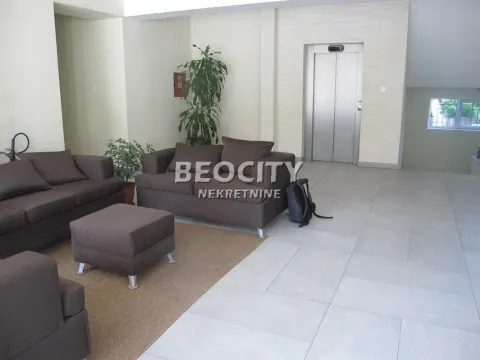 Izdavanje, dvosoban stan, 104m², Dedinje Sve Podlokacije, Beograd - image 14