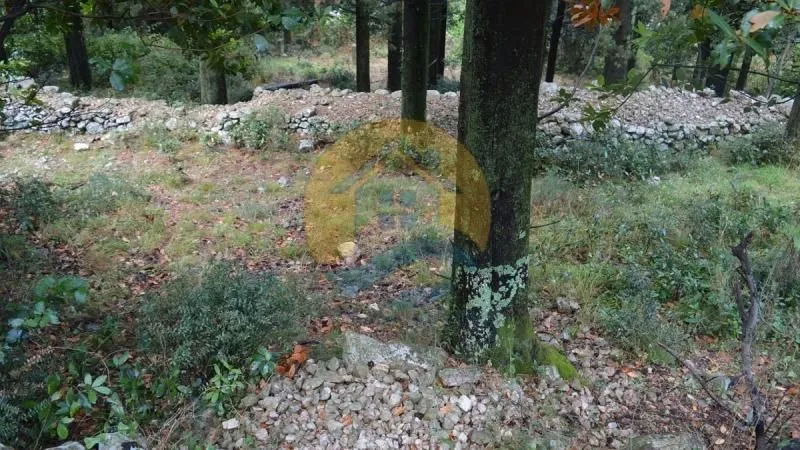 Prodaja, plac, 1200m², Dobrota, Kotor