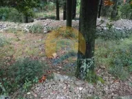 Sale, land lot, 1200m², Dobrota, Kotor - image 8