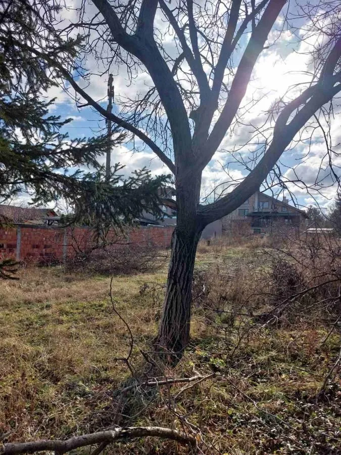 Prodaja, plac, 852m², Sremska Kamenica, Petrovaradin