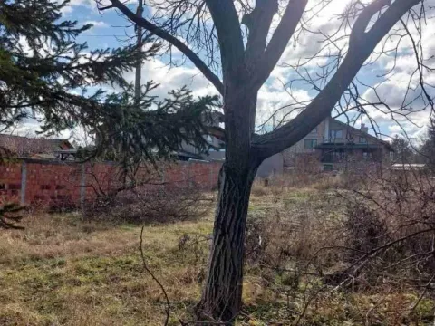 Prodaja, plac, 800m², Sremska Kamenica, Petrovaradin - image 9