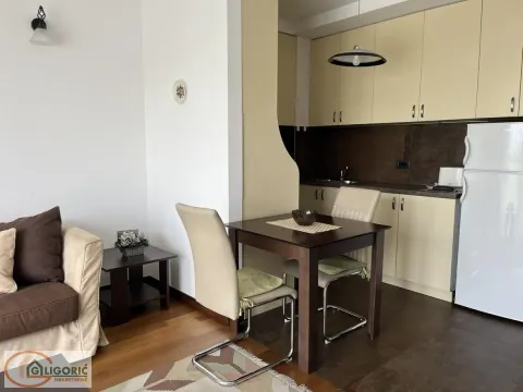 Izdavanje, dvosoban stan, 45m², Zvezdara Sve Podlokacije, Beograd - image 4