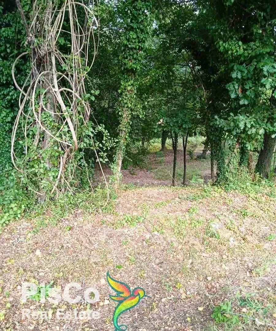Prodaja, plac, 4700m², Danilovgrad, Crna Gora