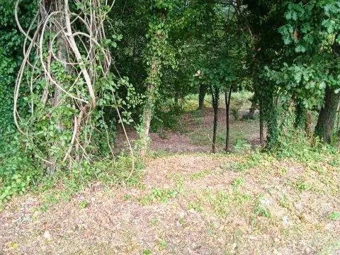 Sale, land lot, 4700m², Danilovgrad, Crna Gora - image 12