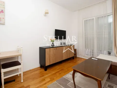 Izdavanje, stan, 25m², Stari Aerodrom, Podgorica - image 9