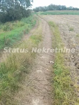 Zemljani put koji vodi kroz zemljište obraslo travom i zelenilom. - image 2