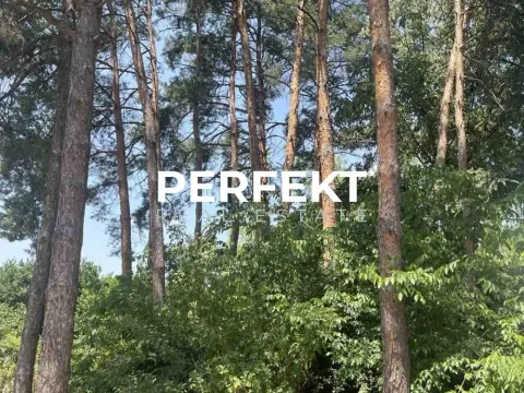 Prodaja, kuća, 43m², Alibunar, Srbija - image 13