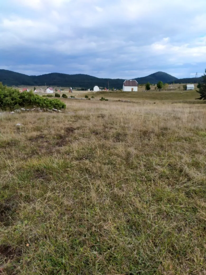 Prodaja, plac, 13600m², Njegovuđa, Žabljak