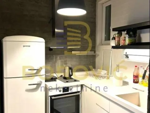 Izdavanje, dvosoban stan, 125m², Stari Grad, Beograd - image 8