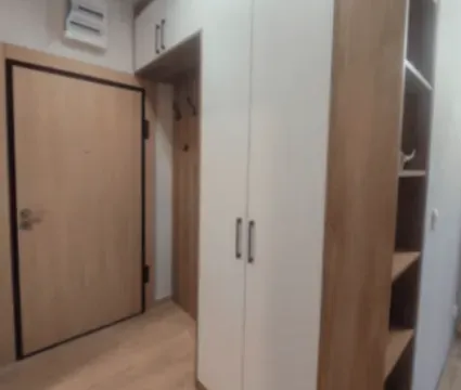 Rent, apartment, 50m², Golubovina, Budva - image 6