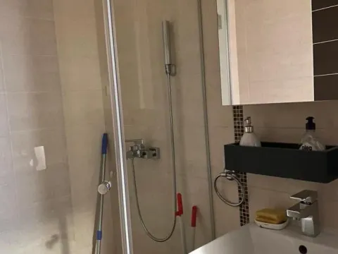 Rent, two bedroom apartment, 49m², Spens, Novi Sad Sve Podlokacije - image 9