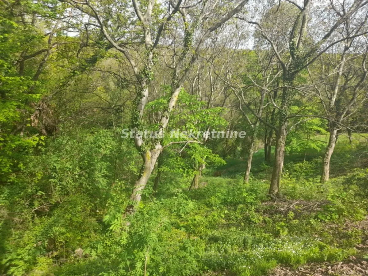 Prodaja, plac, 9283m², Irig, Srbija