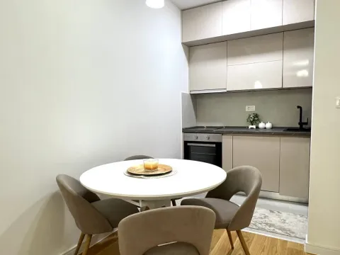 Rent, one bedroom apartment, 47m², Central Point, Podgorica - image 4