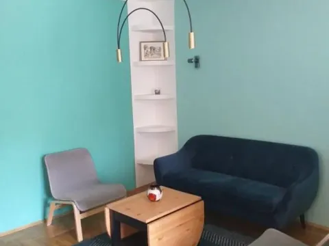 Rent, one bedroom apartment, 45m², Podbara, Novi Sad Sve Podlokacije - image 3