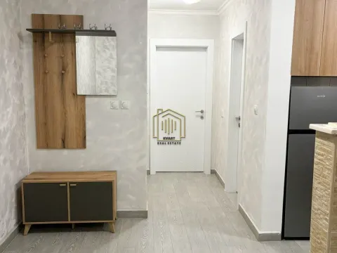 Izdavanje, jednosoban stan, 42m², Tološi, Podgorica - image 9