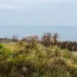 Prodaja, plac, 1000m², Sveti Stefan, Budva - image 3