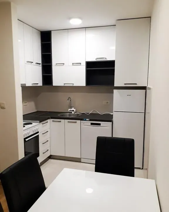 Izdavanje, jednosoban stan, 48m², Zagorič, Podgorica