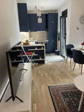 Rent, one bedroom apartment, 50m², Zabjelo, Podgorica - image 4