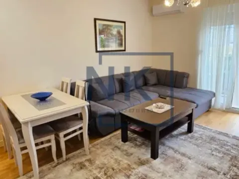 Izdavanje, jednosoban stan, 45m², Tuški Put, Podgorica - image 5