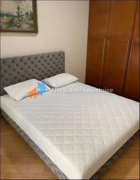 Izdavanje, dvosoban stan, 50m², Vračar Sve Podlokacije, Beograd